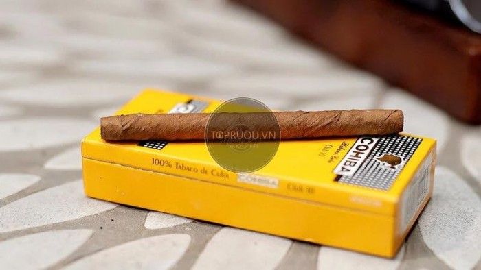 cohiba_club_10_cfd8e9d533454656b94219a53da7d529_master