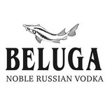 BELUGA